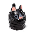 https://www.ociostock.com/productos/imagenes/img_408236_919ae4121db59592f4c24b754badfdb3_1.jpg